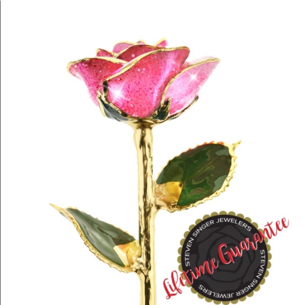 24K Gold Dipped Rose 🌹Pink Champagne